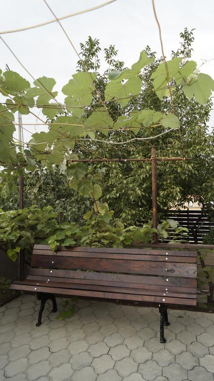 Nino'S Guest House Тбилиси Номер фото