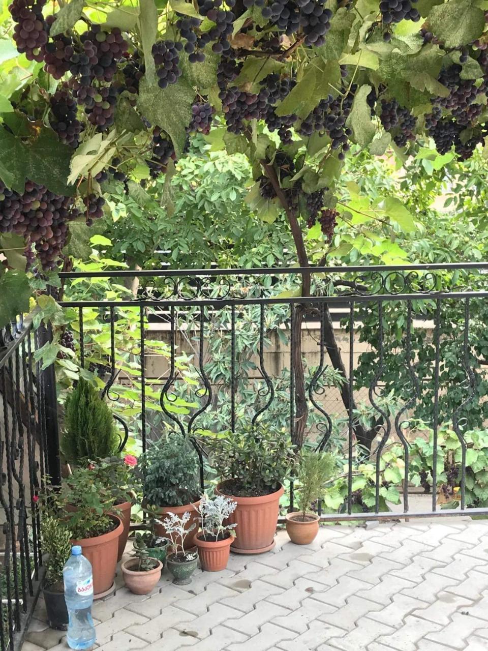 Nino'S Guest House Тбилиси Экстерьер фото